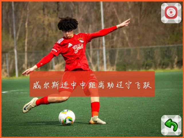 威尔斯连中中距离助辽宁飞跃