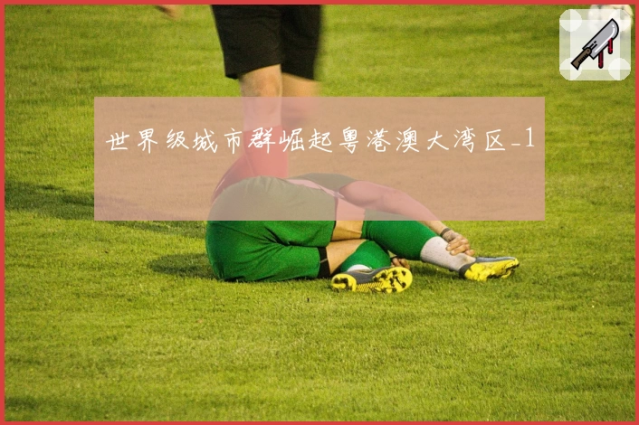 世界级城市群崛起粤港澳大湾区_1