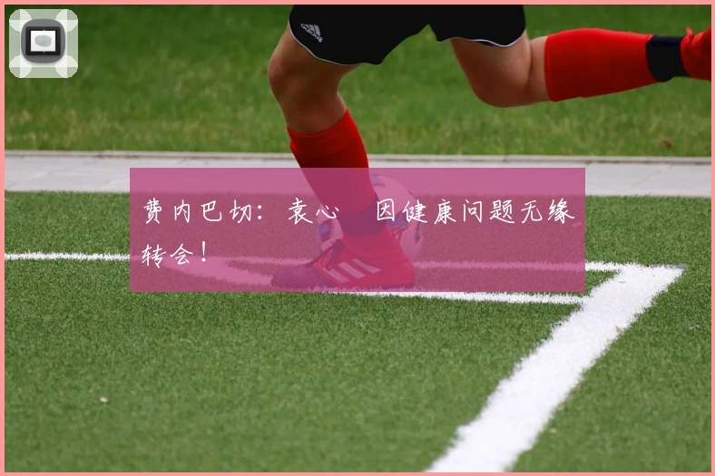 费内巴切：袁心玥因健康问题无缘转会！