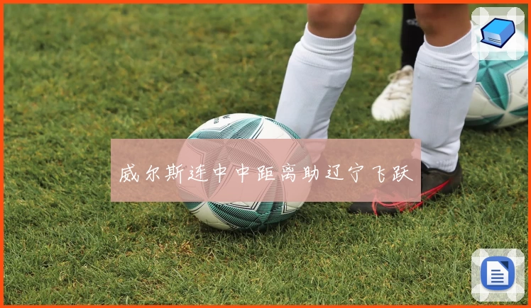 威尔斯连中中距离助辽宁飞跃